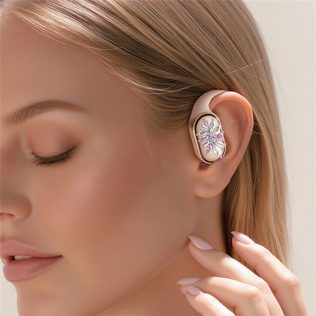 earphone accessories