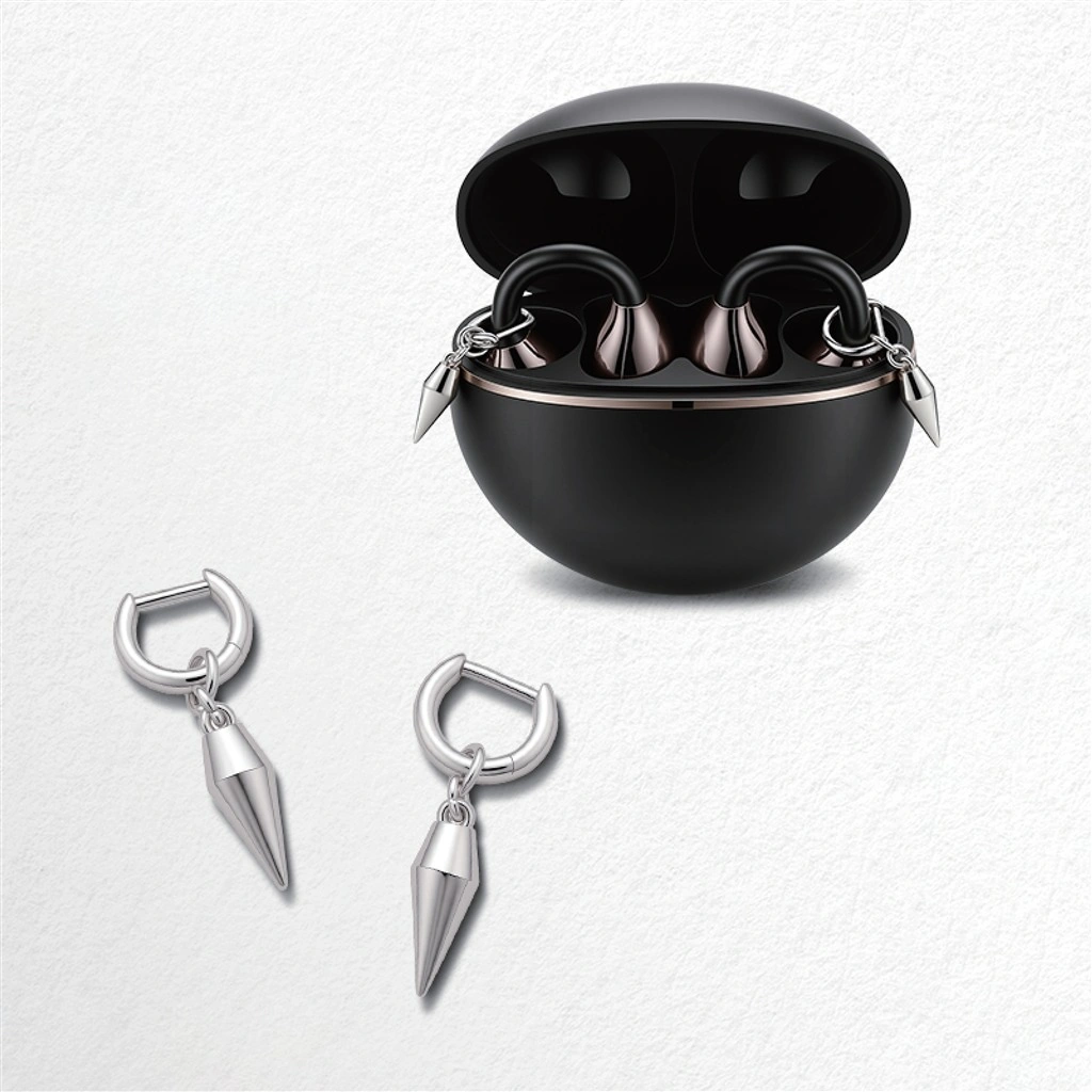earphone accessories