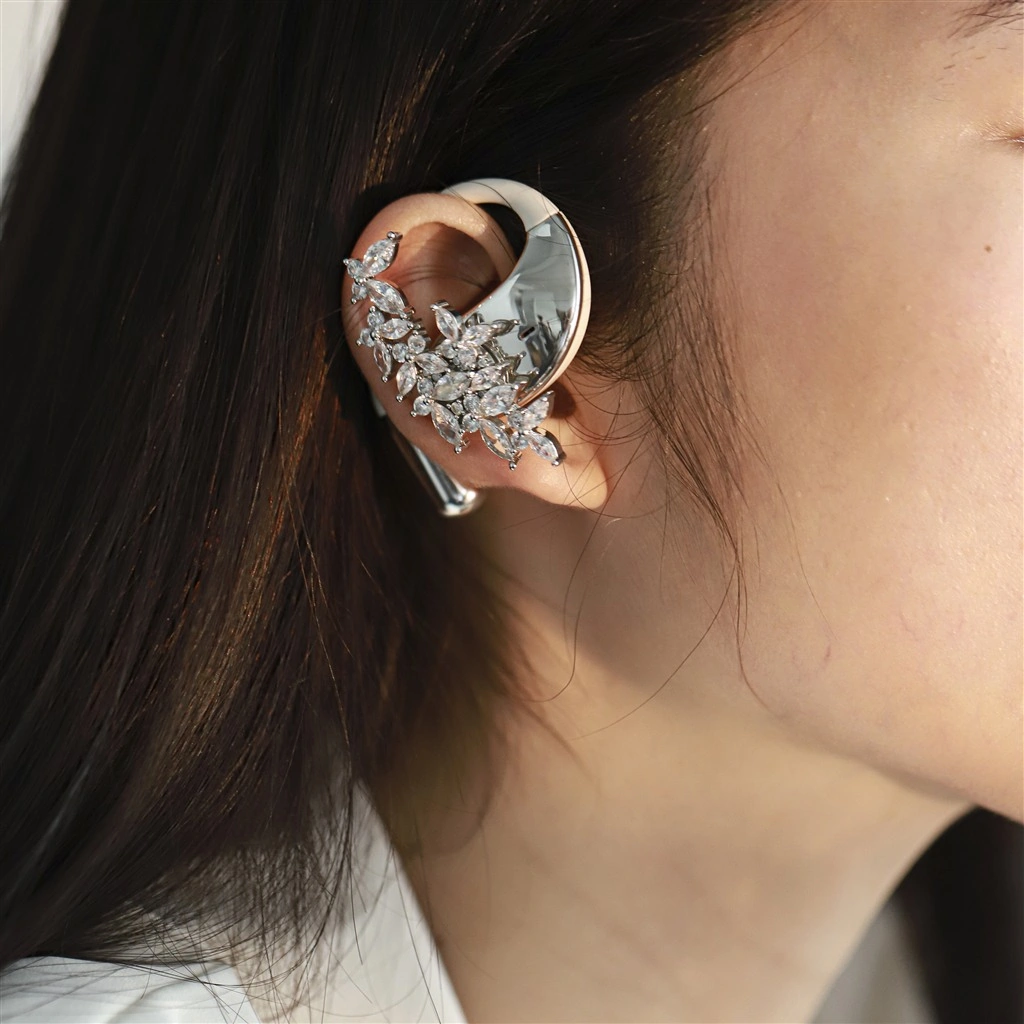 earphone accessories