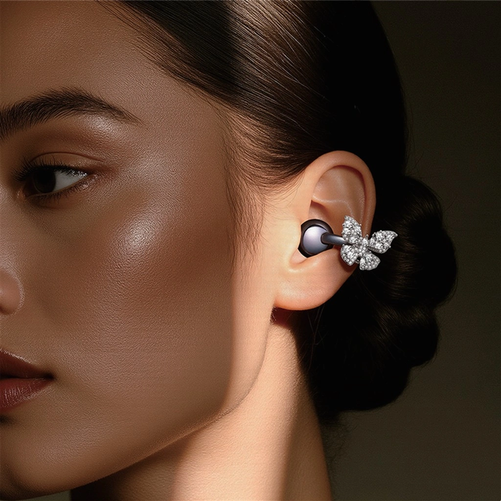 earphone accessories