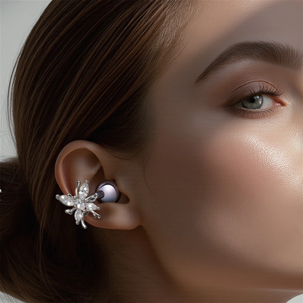 earphone accessories