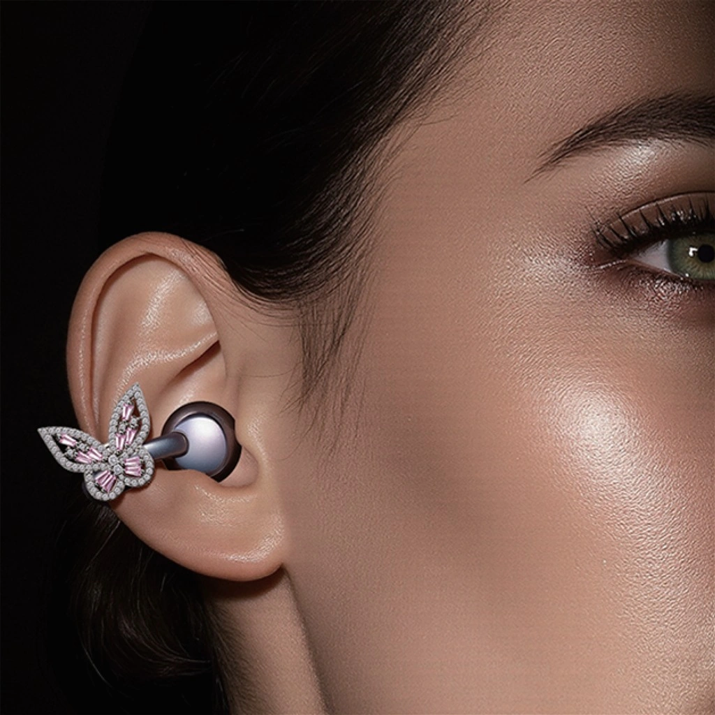 earphone accessories
