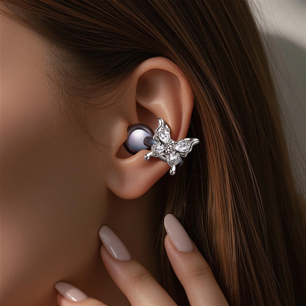 earphone accessories